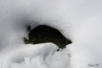 Mini-grotte formee par la neige